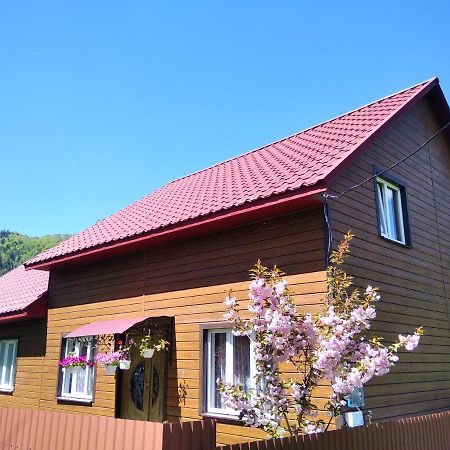 Відпочинок У Карпатах, Мінеральні Ванни, Банний Чан! ξενώνας Verkhnyaya Bystra Εξωτερικό φωτογραφία