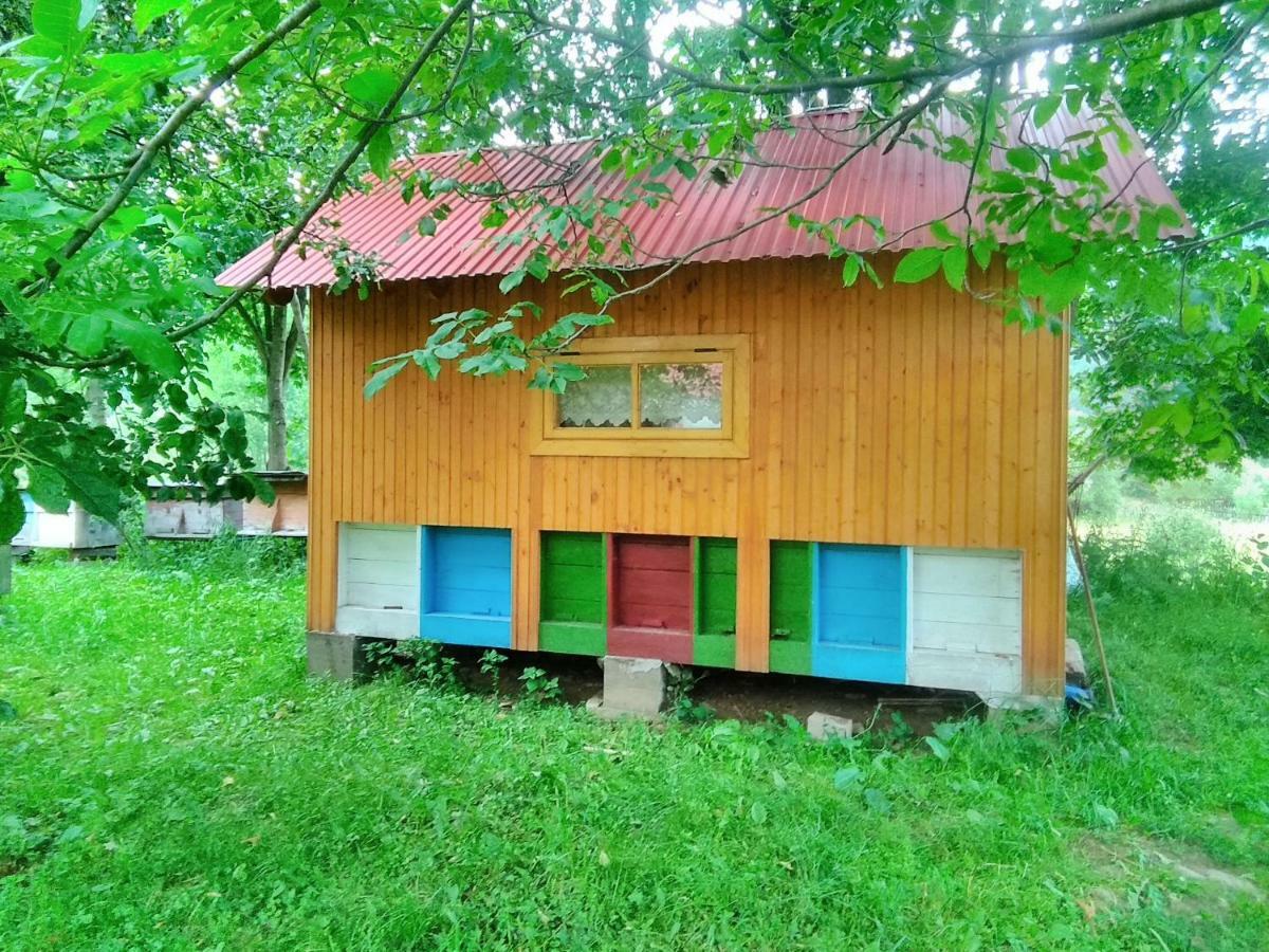Відпочинок У Карпатах, Мінеральні Ванни, Банний Чан! ξενώνας Verkhnyaya Bystra Εξωτερικό φωτογραφία